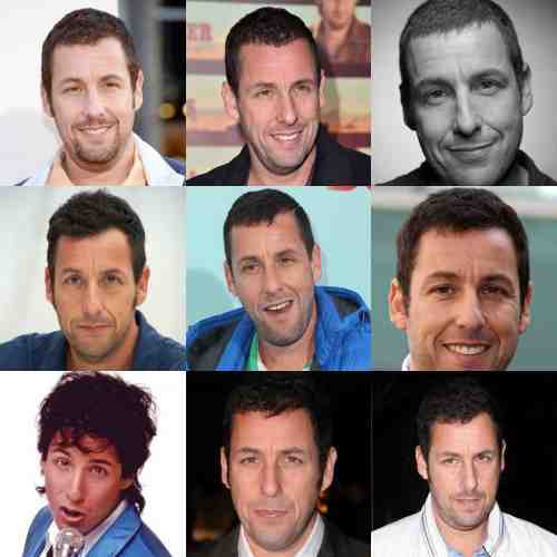 adam sandler haircut