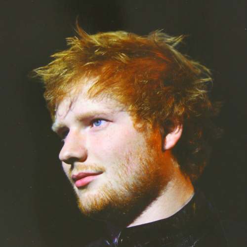 ed sheeran hairstyle (1)