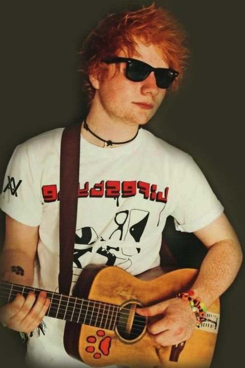 ed sheeran hairstyle (15)