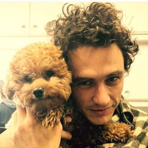 james franco curly hairstyle