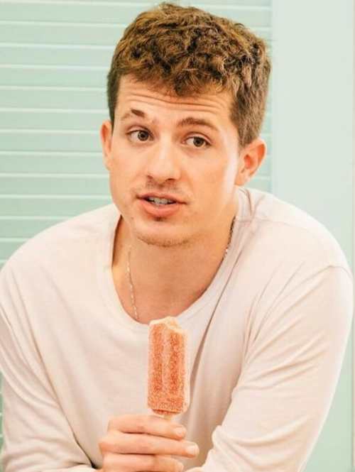 how to make charlie puth hairstyle