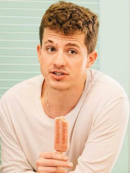 Charlie Puth Hairstyle - Popular Men'S Hairstyles Of American Singer  [Updated 2023]- Men'S Hairstyles + Haircuts X