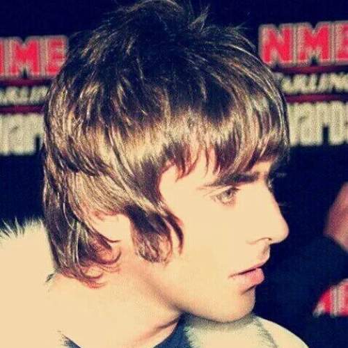 liam gallagher side view hairstyle