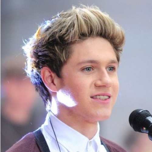 Niall Horan New Hairstyle Ideas Pictures Hd  Fans Share