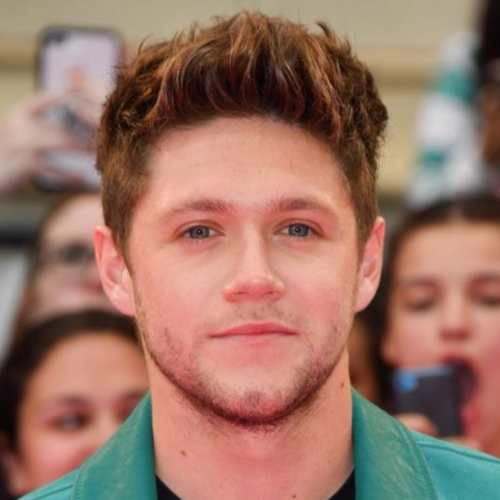 niall horan haircut 2018