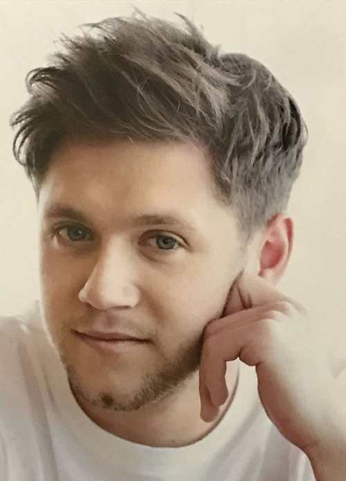 niall horan hairstyle 2017