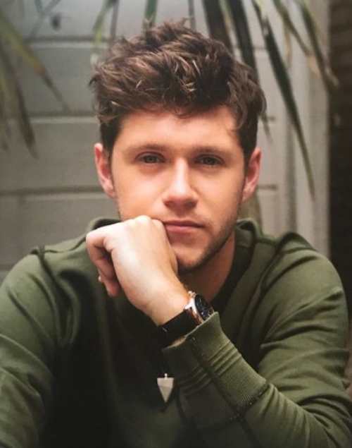 niall horan hairstyle 2018 messy cool haircut