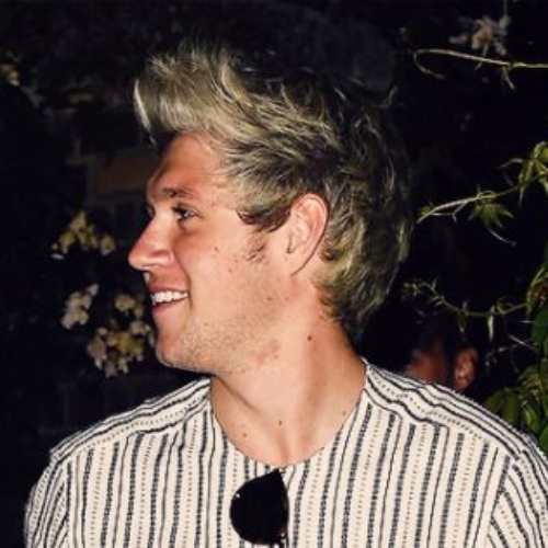 niall horan hairstyle side view