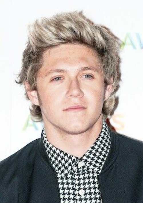 niall horan hairstyles 2013 blonde hair