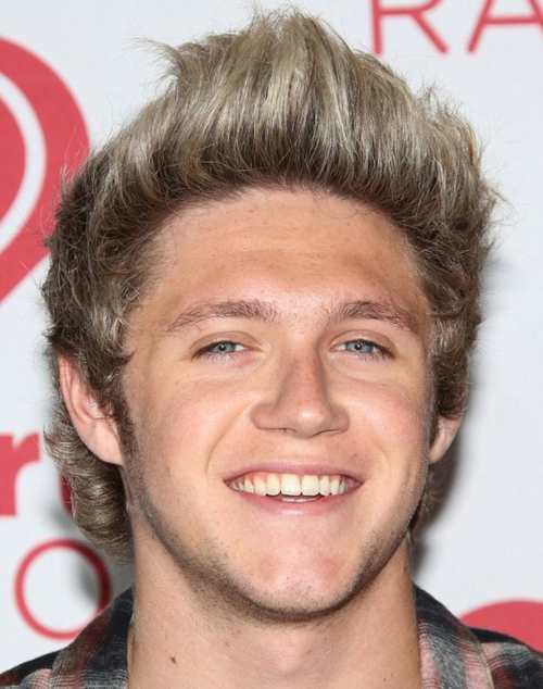 niall horan upper cut color 2013 haircut