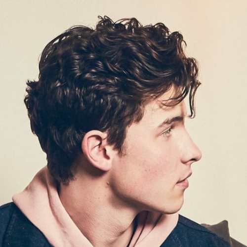 Shawn Mendes Hairstyle Men's Hairstyles & Haircuts X