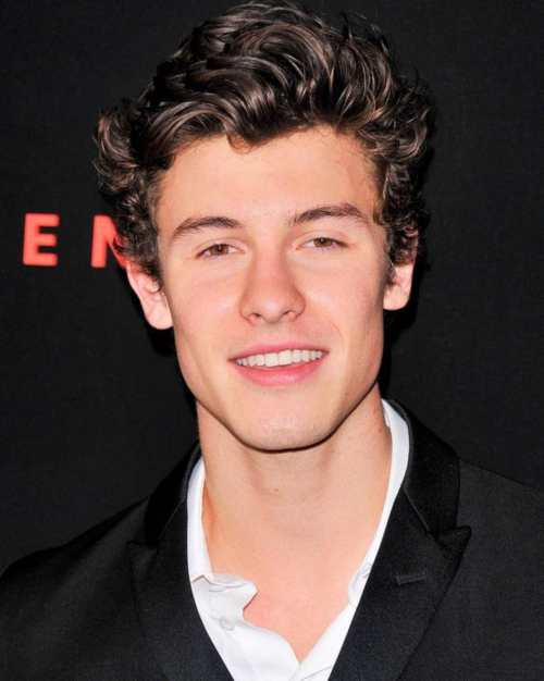 shawn mendes hairstyle