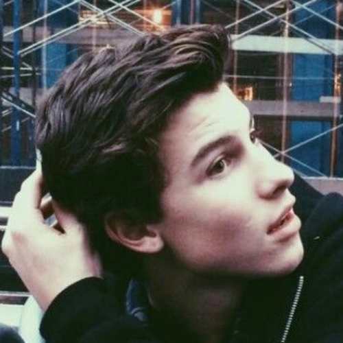 shawn mendes old cute hairstyles for guys