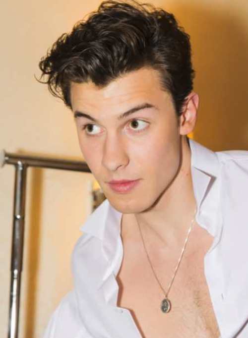 Shawn Mendes Hairstyle - Some Tips to Get Hairstyles like ...