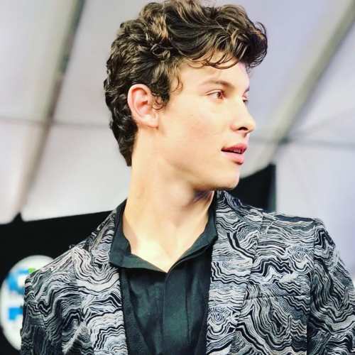 shawn mendes pretty hairstyles for guys