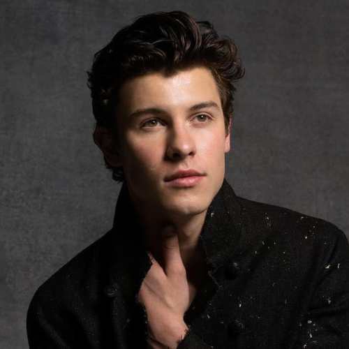 shawn mendes slicked back hairstyles