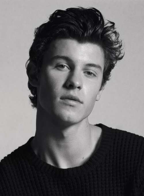 shawn mendes wavy hairstyle