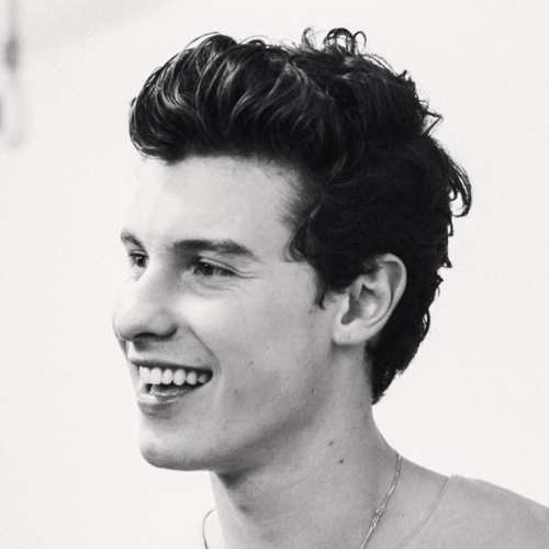 shawn mendes wavy pompadour hairstyle