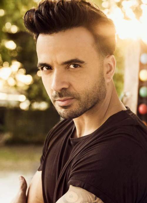 luis fonsi natural hairstyle