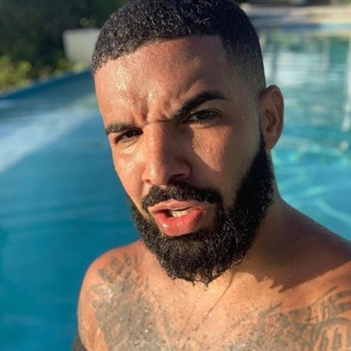 drake long beard hairstyle